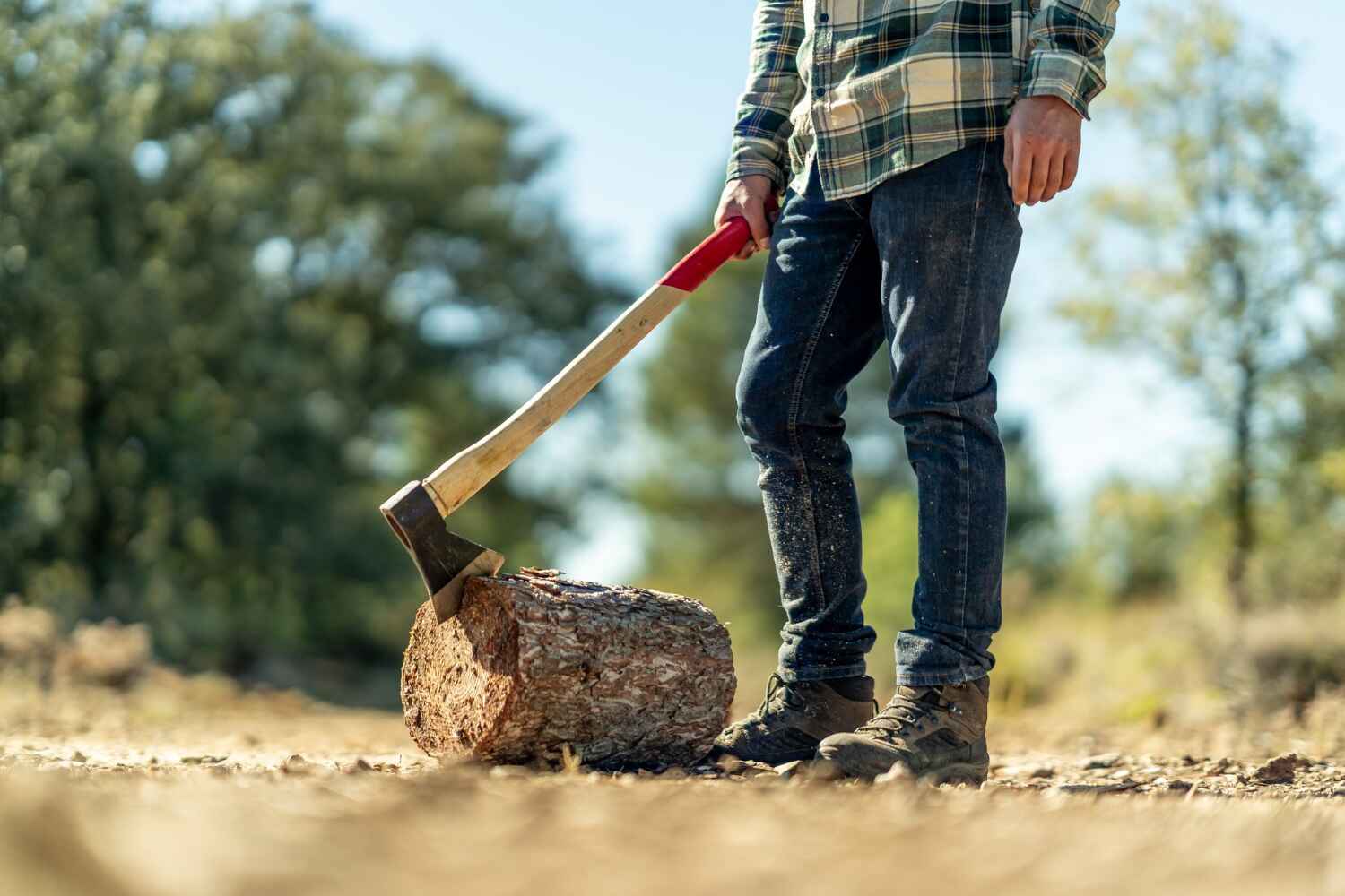 Dead Tree Removal in Montgomery, TX